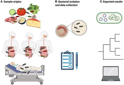Perspective on Clinically-Relevant Antimicrobial Resistant Enterobacterales in Food: Closing the Gaps Using Genomics